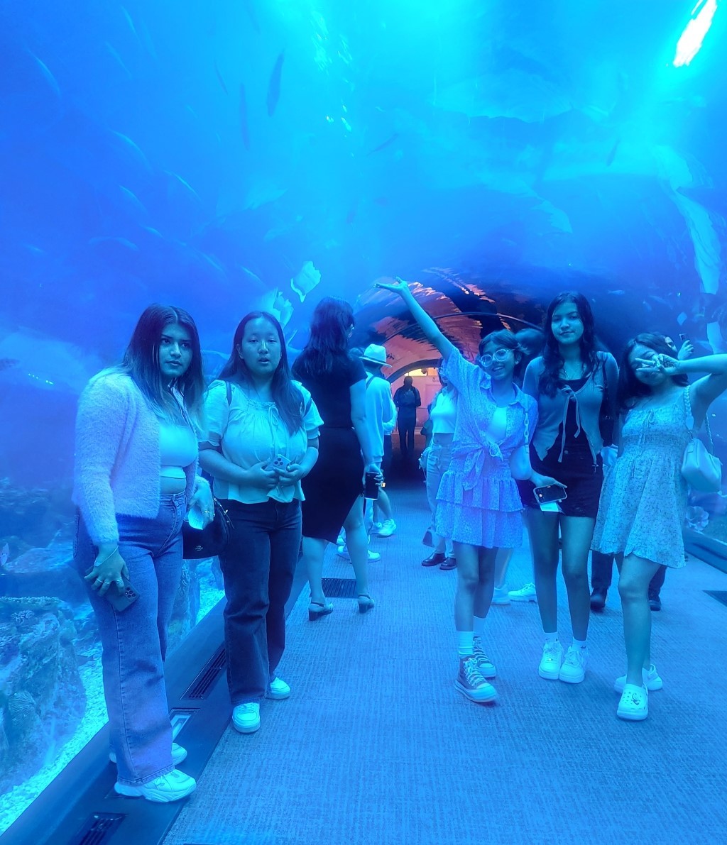 BMC students captured at Aqua Park in Dubai