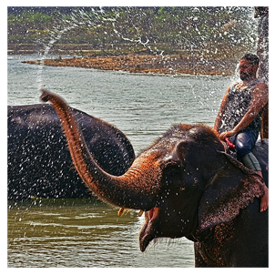 A Level Students Take a Tour of Chitwan