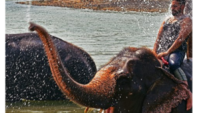 A Level Students Take a Tour of Chitwan