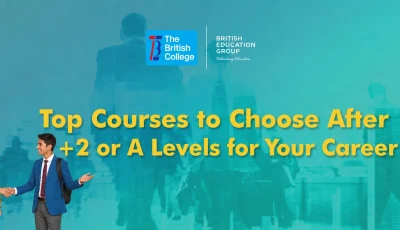 What Should You Study After +2/A Levels? A Career-Based Degree Selection Guide